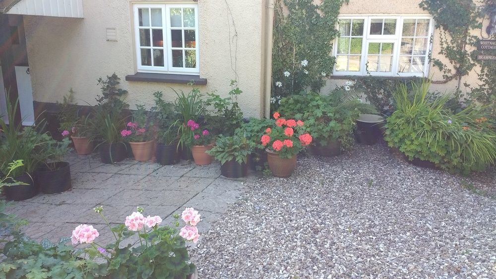 Brambles Bed And Breakfast Tiverton  Exterior photo