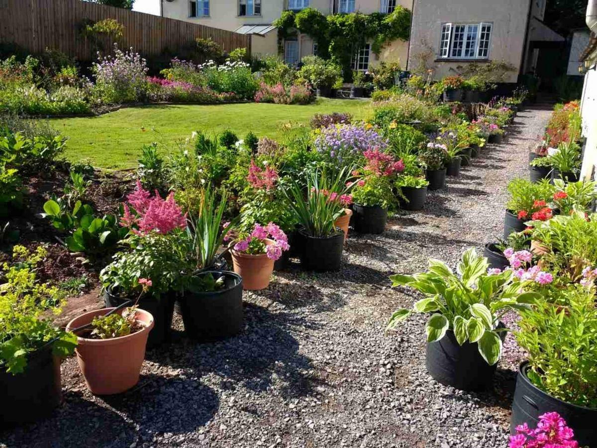 Brambles Bed And Breakfast Tiverton  Exterior photo